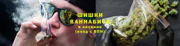 молекула духа Лихославль