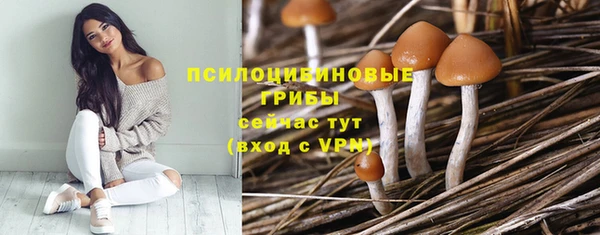 молекула духа Лихославль