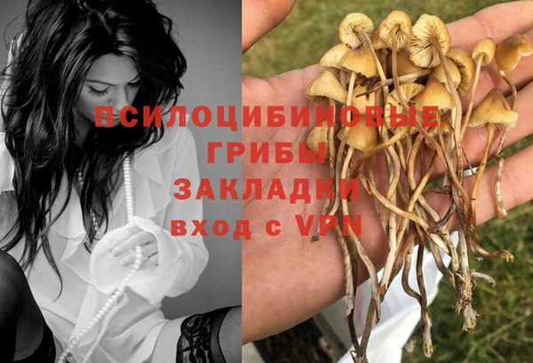 МДМА Лабытнанги