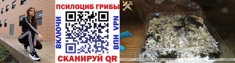 Купить закладки  Находка  Галлюциногенные грибы GOLDEN TEACHER 